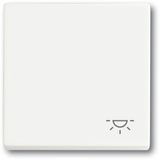 2520 LI-884 CoverPlates (partly incl. Insert) future®, Busch-axcent®, carat® studio white matt