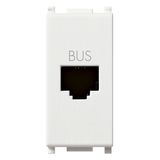 BUS RJ11phone jack white