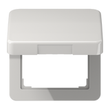 Centre plate with hinged lid CD590KLLG