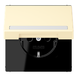 SCHUKO socket, with hinged lid, with ins LC1520BFNAKL201