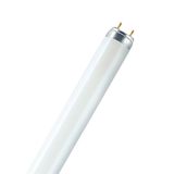 Fluorescent Tube TL F 58W T8 G13 5500K