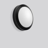 Rounded Midi, 12 W, 600 lm, 830, anthracite, on/off Ceiling and wall l