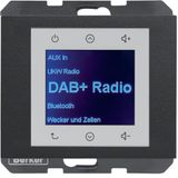 Radio Touch  UP DAB+ K.x anthracite matt