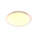 Melissa Dimmable LED Flush Light 60W CCT