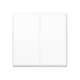 Standard center plate for dimmer ABAS1565.07WW