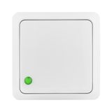 BERG PUSH "LIGHT" SWITCH