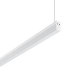 Less is more 21, 25 W, 2550 lm, 830, white, DALI Pendant luminaires, L