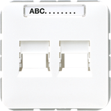 Center pl.2-sockets f. modular Jack CD569-2WEWW