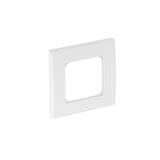 Cover frame AR50, for accessory mounting box 71GD6/11, single