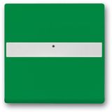 1764 NLI-13-82 CoverPlates (partly incl. Insert) future®, Busch-axcent®, solo®; carat®; Busch-dynasty® green
