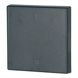 Rocker, 1-way, I/0, Anthracite