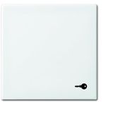 2520 TR-914 CoverPlates (partly incl. Insert) Busch-balance® SI Alpine white