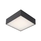 ROXANE Ceiling Light Led Square10W  Anthraci