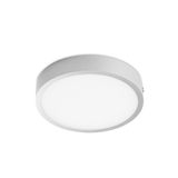 Kaju Surface Mounted LED Downlight RD 16W Grey