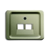 1803-02-260 CoverPlates (partly incl. Insert) carat® Palladium