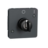 ***MUREVA KEY SWITCH W 2 ITIONS MULTI GR