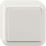 Cross switch, 1-pole, polar white, surface-mounted