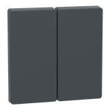 Rocker for series switches, anthracite, system design