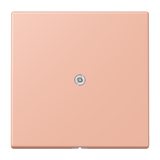 Cable outlet w.centre plate and insert L LC990A231