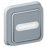 Push-button Plexo IP 55 - illum changeover + label holder - flush mounting -grey