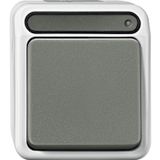 Off/toggle control switch, 1-pole, light gray, AQUASTAR