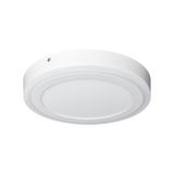 LED CLICK White Round 300mm 18W