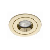 iCage Mini IP65 GU10 Die-Cast Fire Rated Downlight Brass