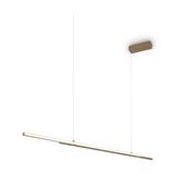 Modern Halo Pendant lamp Brass