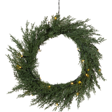 Wreath Thuja