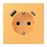 SCHUKO socket with USB charger LC4320L LC1520-15CA254