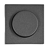 Dimmer cover, anthracite