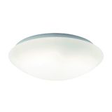 Ceiling Lamp D:400 Disk