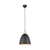 Jagger pendant 25 cm E27 matt black