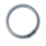 Bonalux®Ring , NL-T5 22W/840C/2GX13