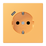 SCHUKO socket with USB type C LC4320L LC1520-18C254