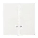 1785 K-84-500 Mechanical Controls None for Switch/push button, Two-part rocker studio white - 63x63