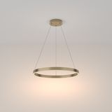 Modern Rim Pendant lamp Brass