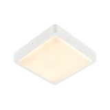 AINOS Outdoor SQ 17W 1300lm 3000/4000K 230V LED IP65 white