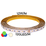 LED strip 24W/m 120led/m RGB+WW 3000K IP20 24V 60'000h CRI>90 (5m) THORGEON