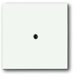 1745-884 CoverPlates (partly incl. Insert) future®, Busch-axcent®, carat® studio white matt