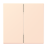 Friends of Hue radio transmitter LC32082 FOHLC995226