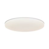 Vic 29 2400Lm 4000K | Ceiling light | White