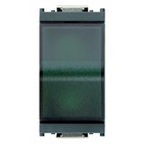 Green prismatic indicator unit grey