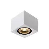 FEDLER Ceilingspotlight Dim-to-warm GU10 Square Wh