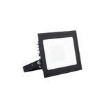 Eden Floodlight 50W Cool White