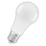 LED Antibacterial Classic 100 13 W/2700 K E27