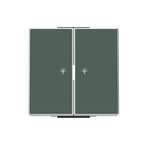 8596.21 CM Rocker light.2 ch. Symbol "light" for Switch/push button, Two-part button Green - Sky Niessen