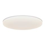 Vic 29 4000K Ceiling light White