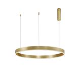 2700-6000K Changing CCT & Dimming Brass Gold Aluminium   & Acrylic  LED 60 Watt 4165Lm  230 Volt IP20   D: 100 H: 200 cm Adjustable Height