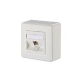 E-DAT modul 1 port AP Cat.6A, pure white